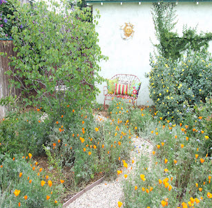 California Native Gardens